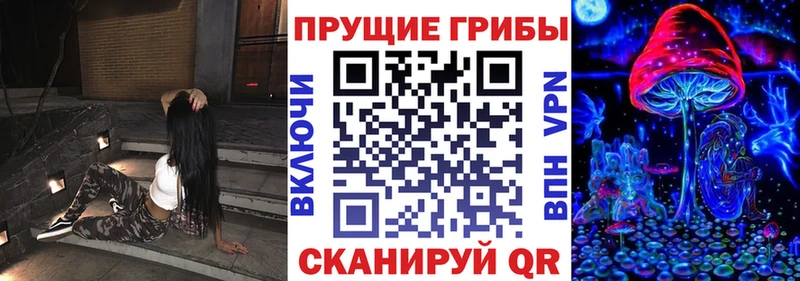 что такое наркотик  Богданович  hydra ссылки  Псилоцибиновые грибы мухоморы 