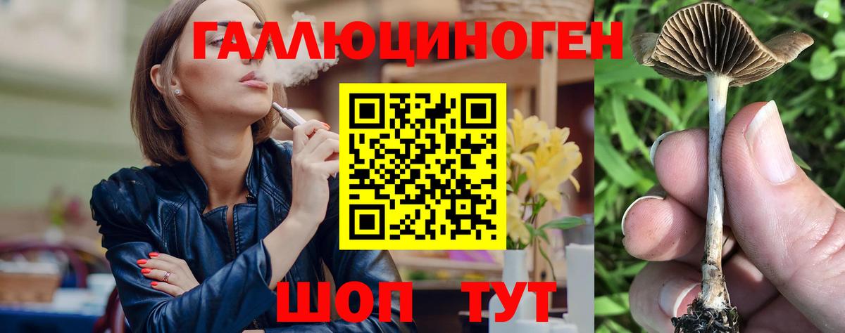 Псилоцибиновые грибы Cubensis  Вход с VPN  Галлюциногенные грибы MAGIC MUSHROOMS  Богданович 